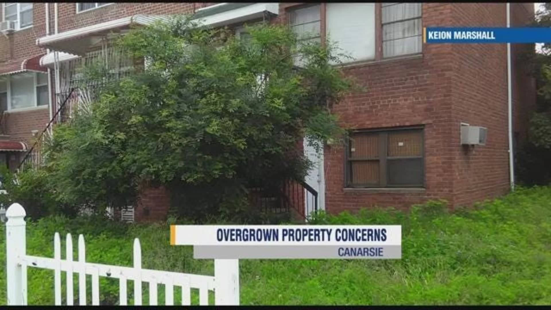 Neighbor: Abandoned, overgrown home cleaned up by stranger