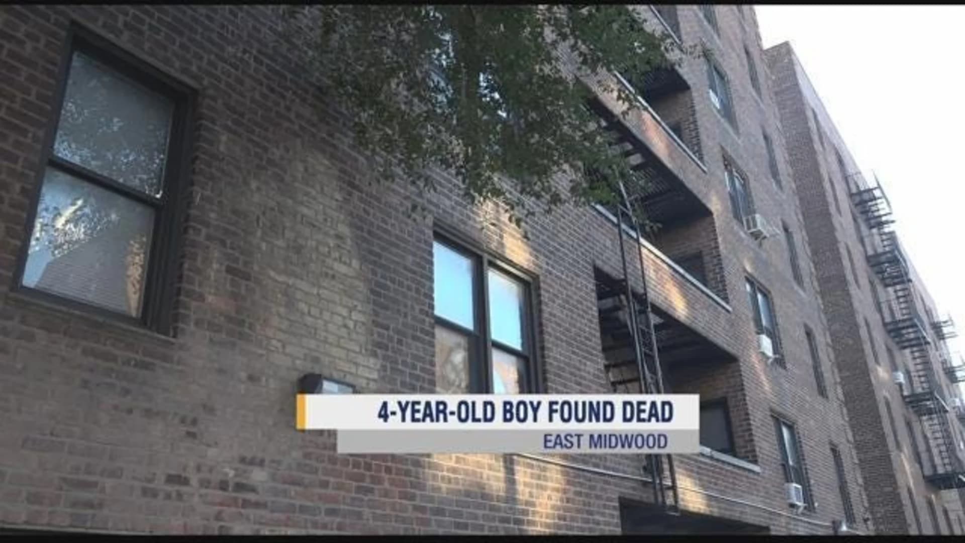Man allegedly throws young brother from Brooklyn roof, faces murder charge