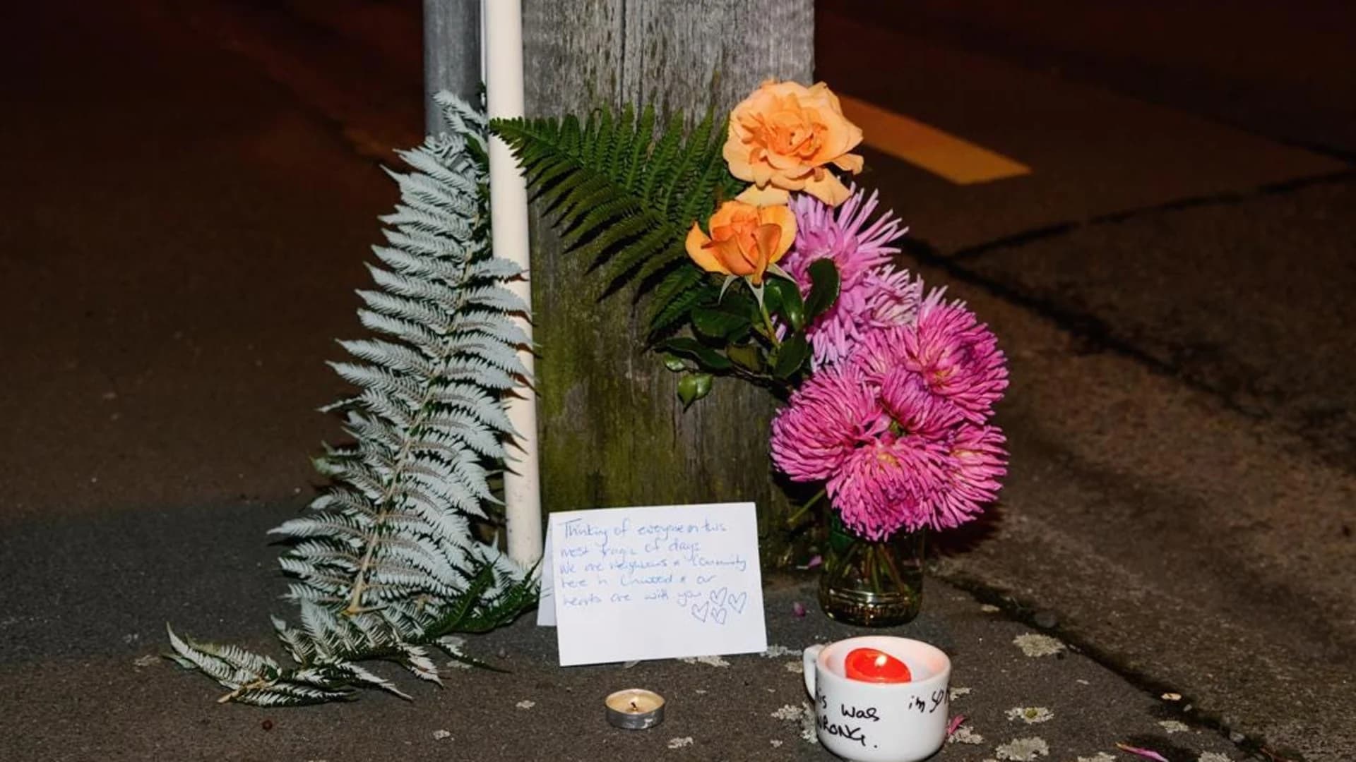 Aftermath of New Zealand mosque shootings