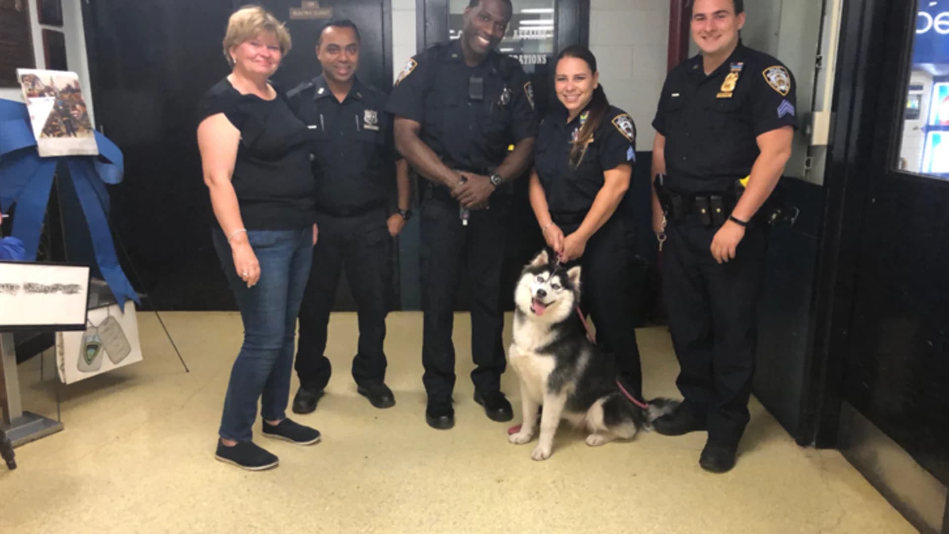 Lost husky found by police in BK reunited with owner