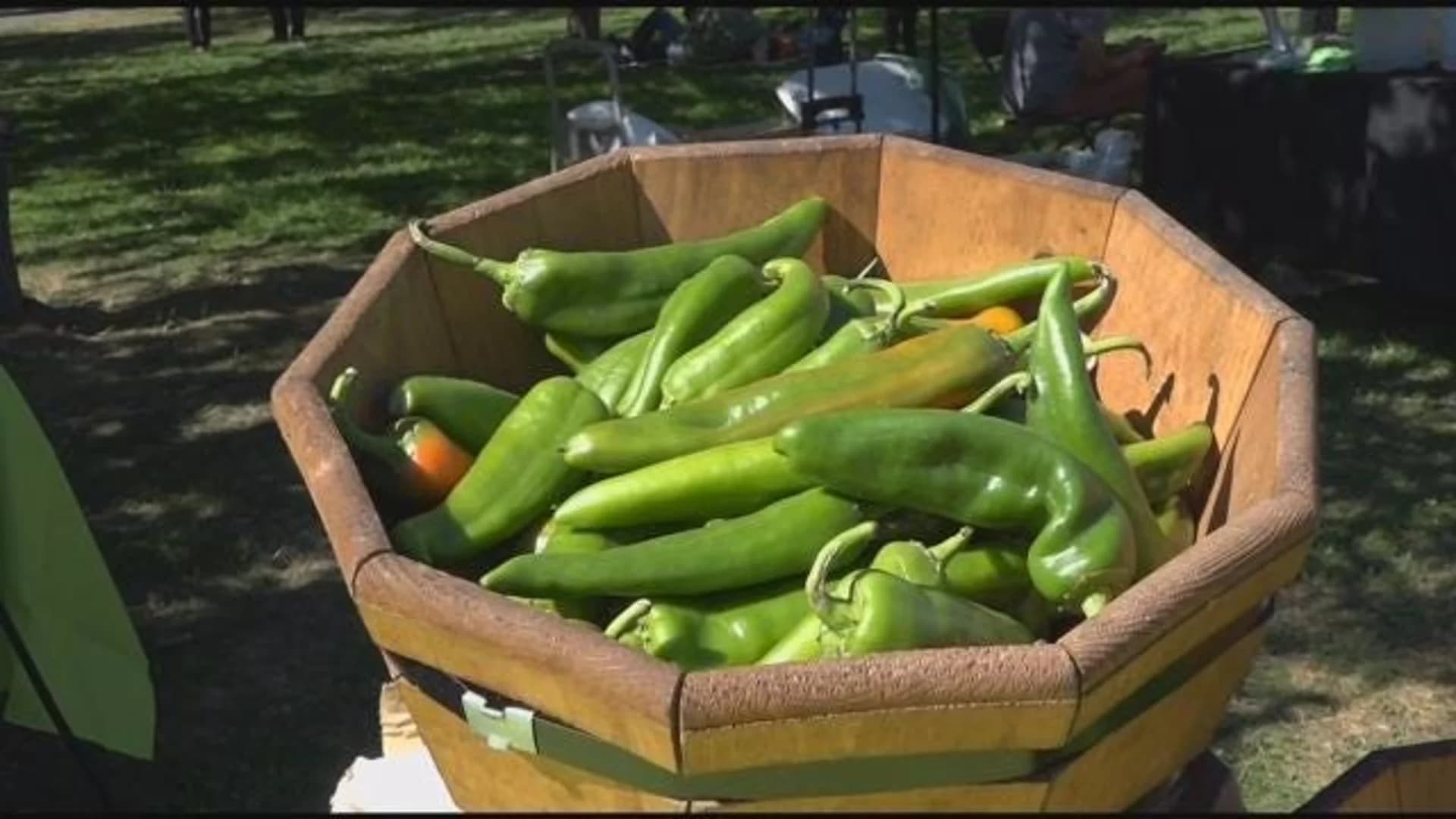 Foodies flock to annual Chile Pepper Festival