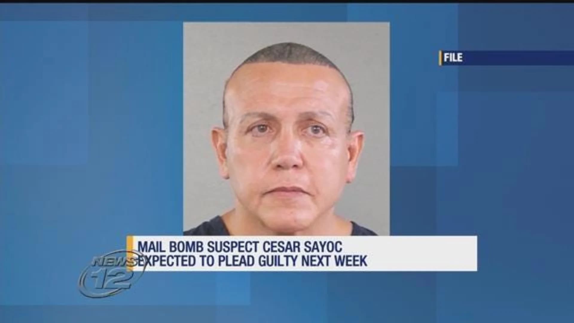 Florida man charged with sending pipe bombs to Democrats expected to plead guilty