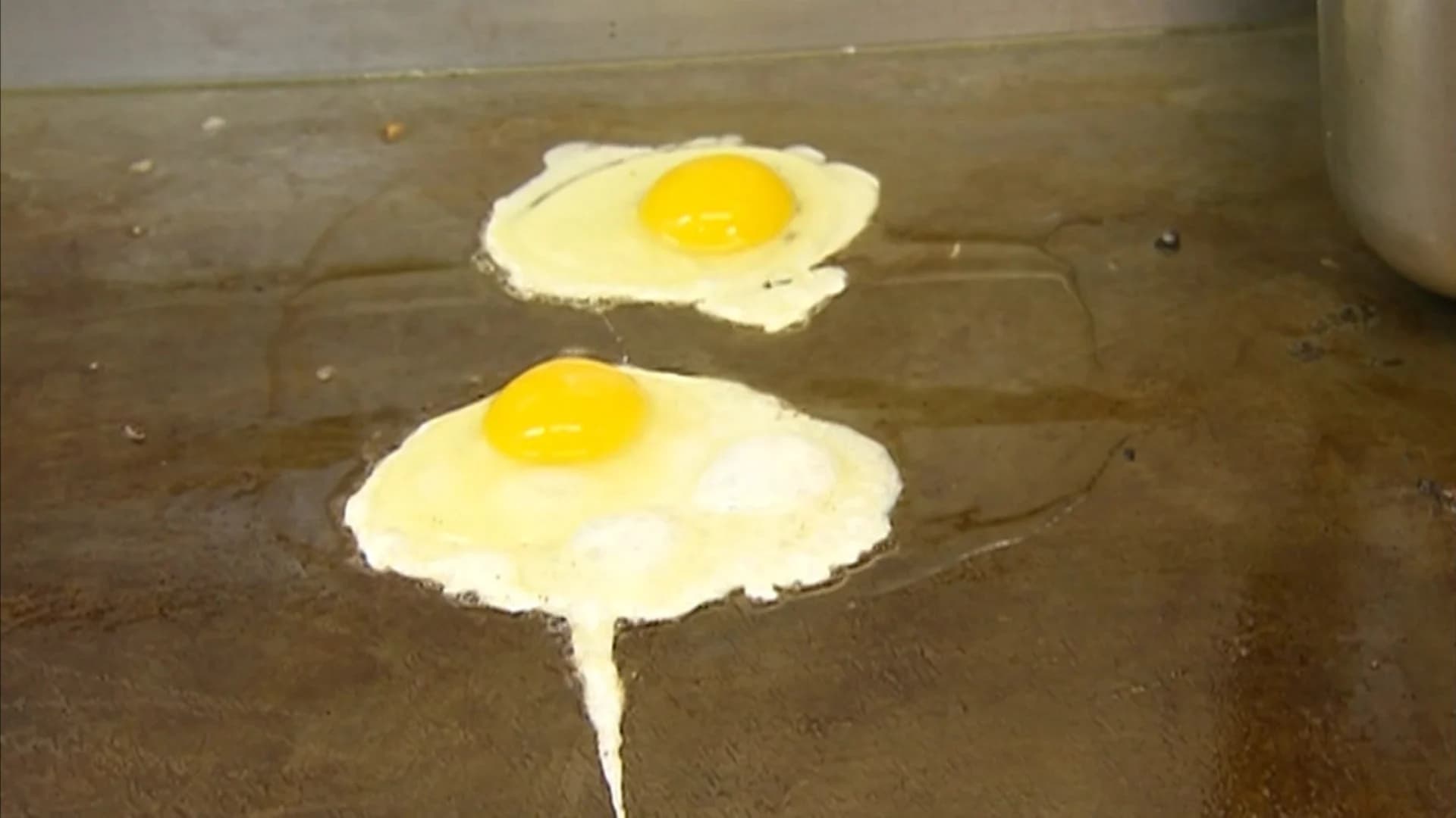 Study: 3, 4 eggs a week increase risk of heart disease, early death