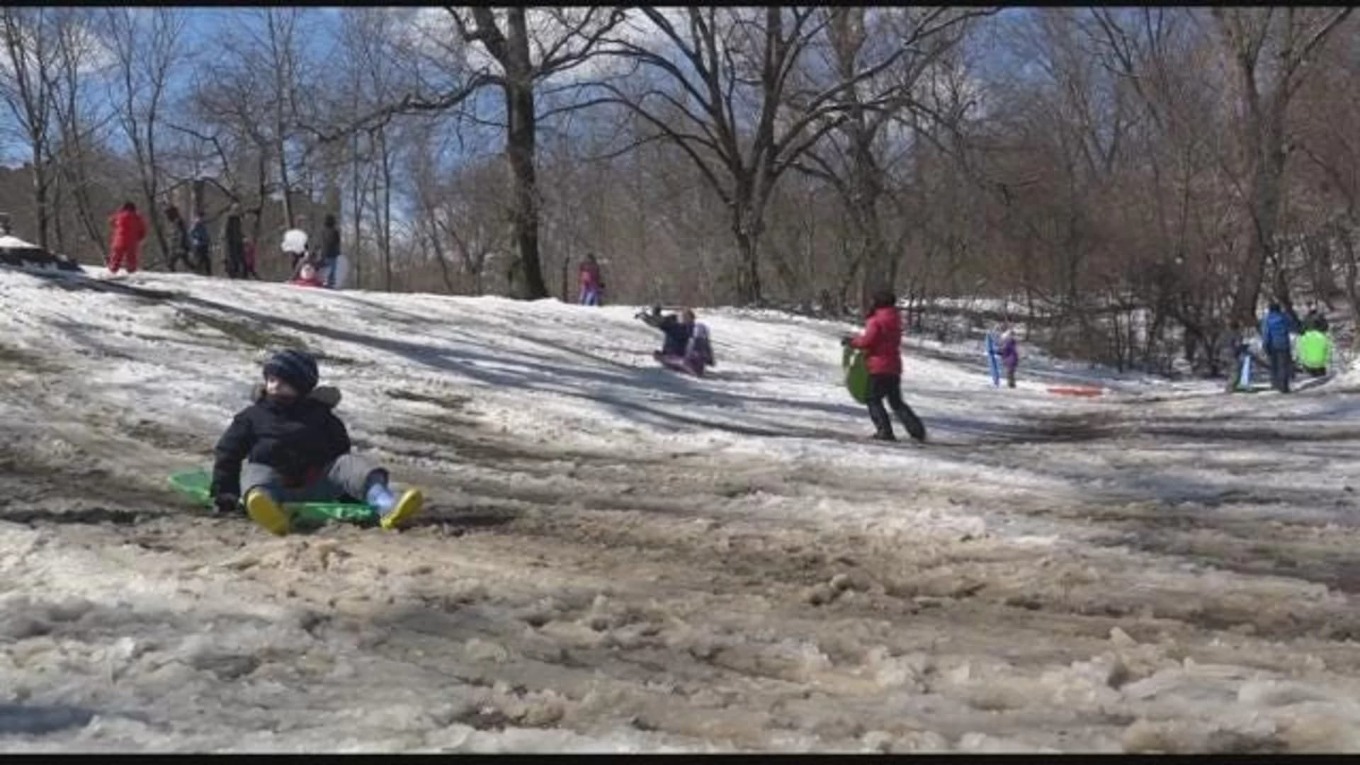Dozens of children embrace snow day at Prospect Park