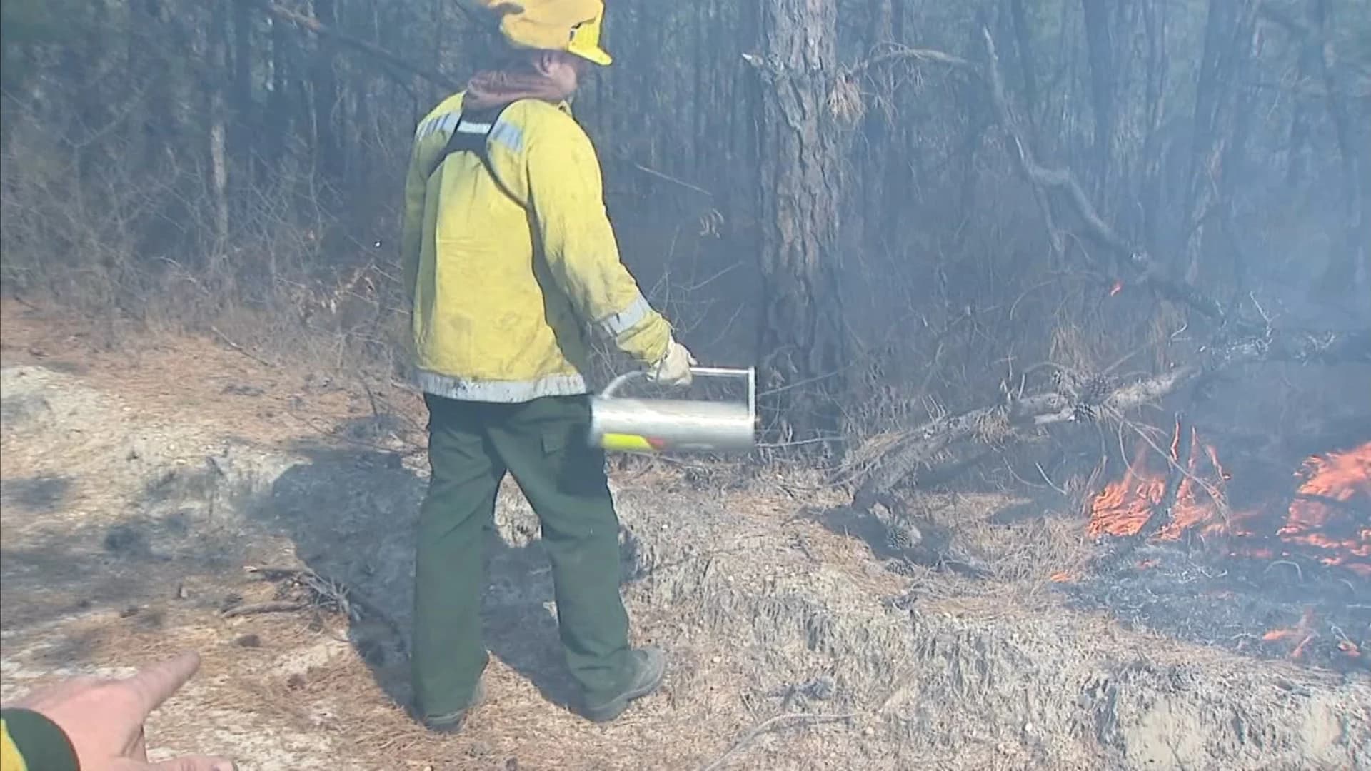 NJDEP sets controlled fires to prevent future forest fires