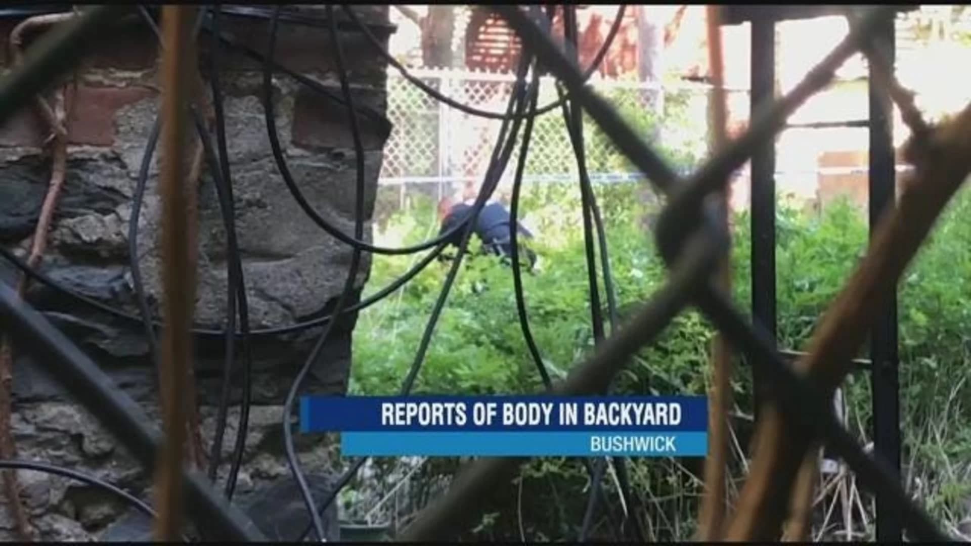 Police sources: Remains found in Bushwick backyard
