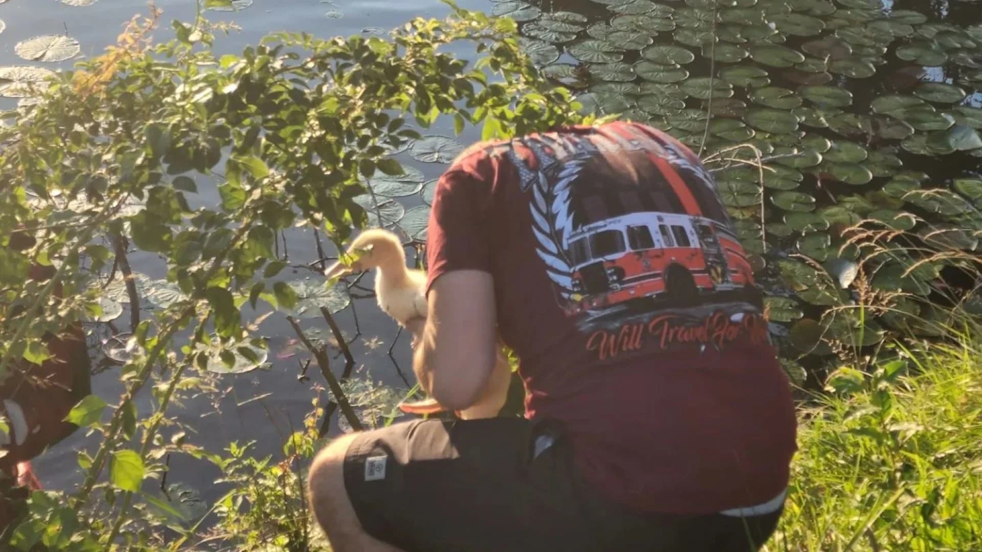 To the rescue! Theills FD rescues 3 people, 3 ducks Friday