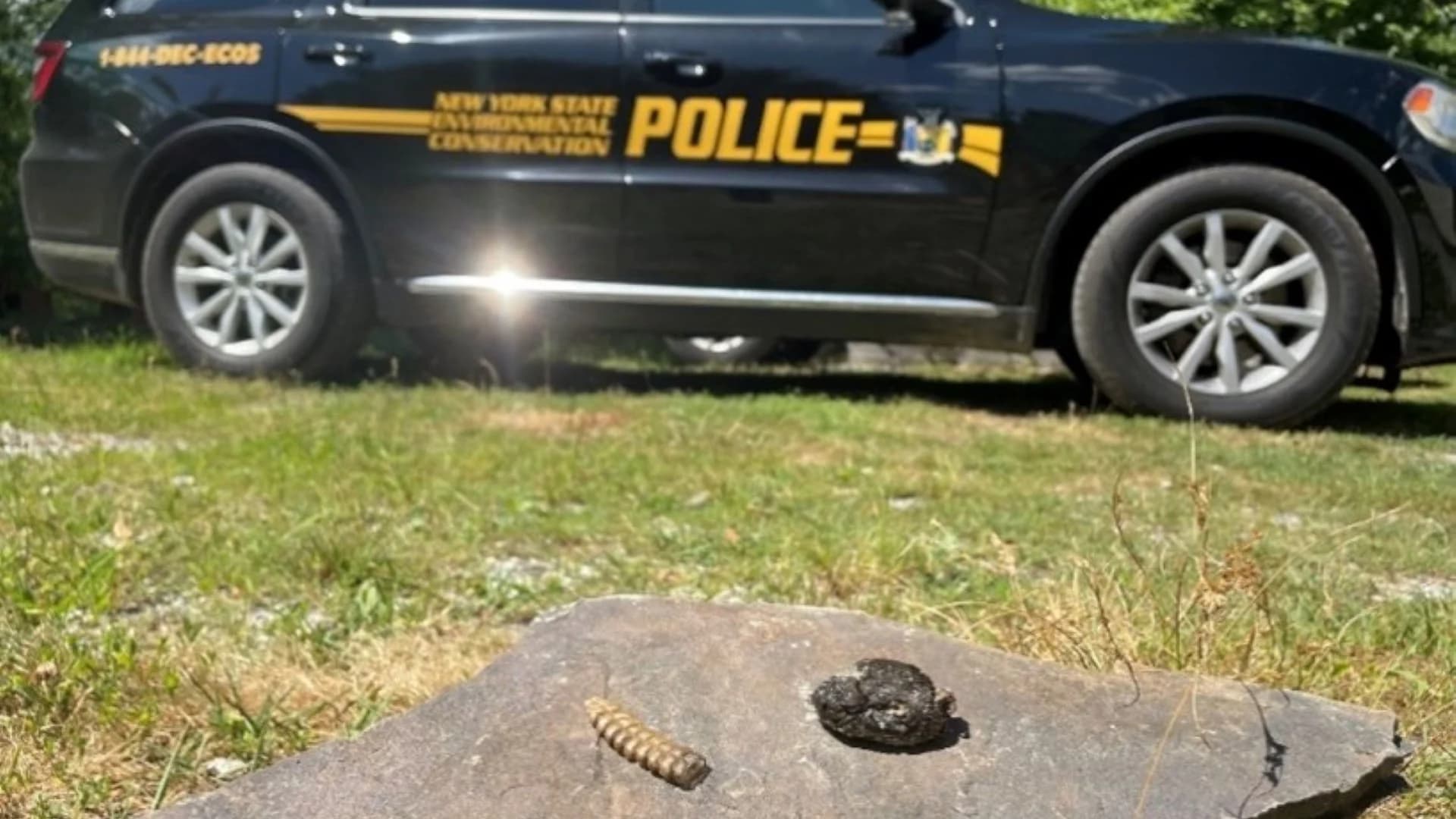 Rattled: Police ticket Orange County man for killing rattlesnake