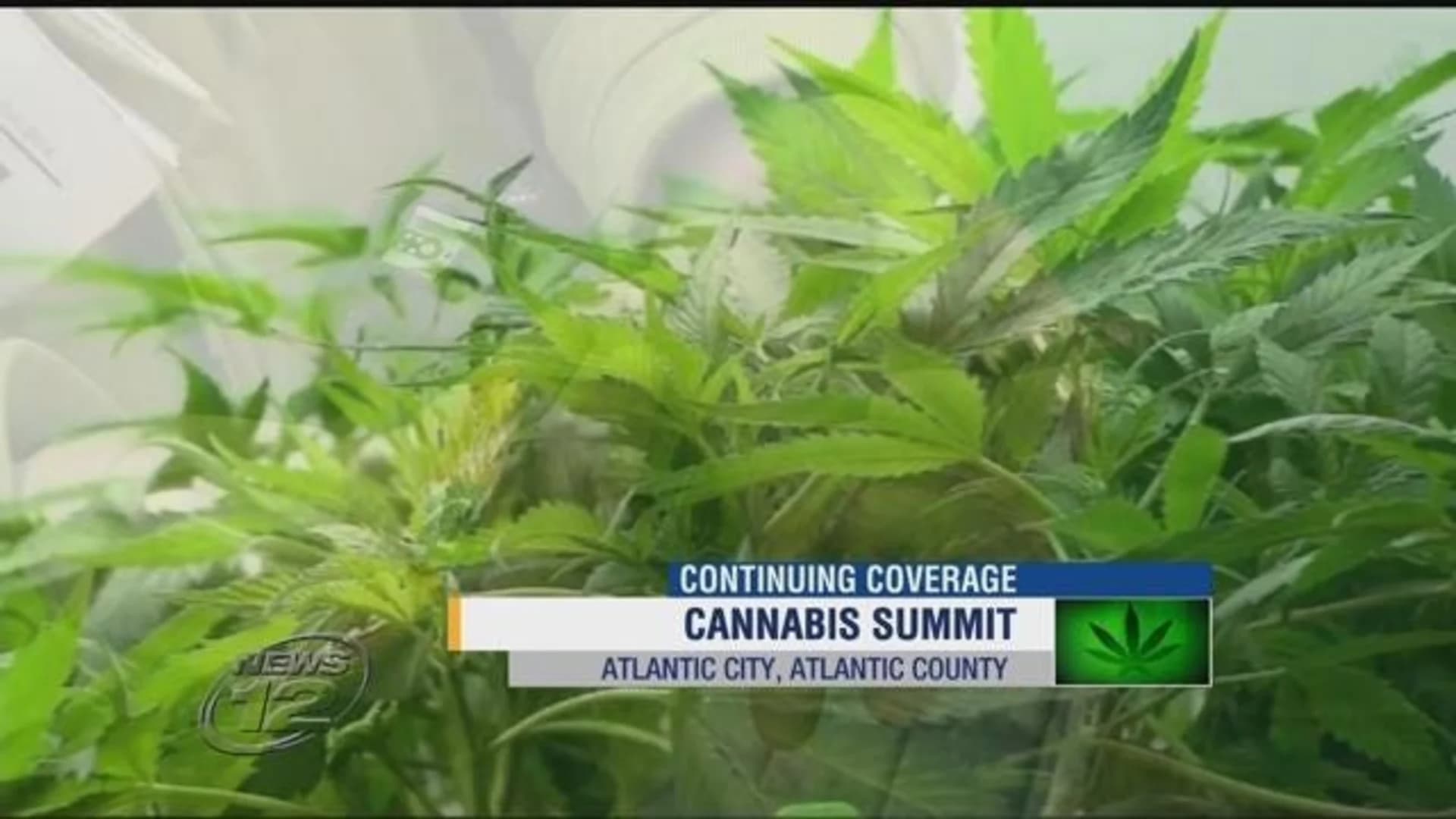 Police officers hold cannabis summit as legalization legislation advances