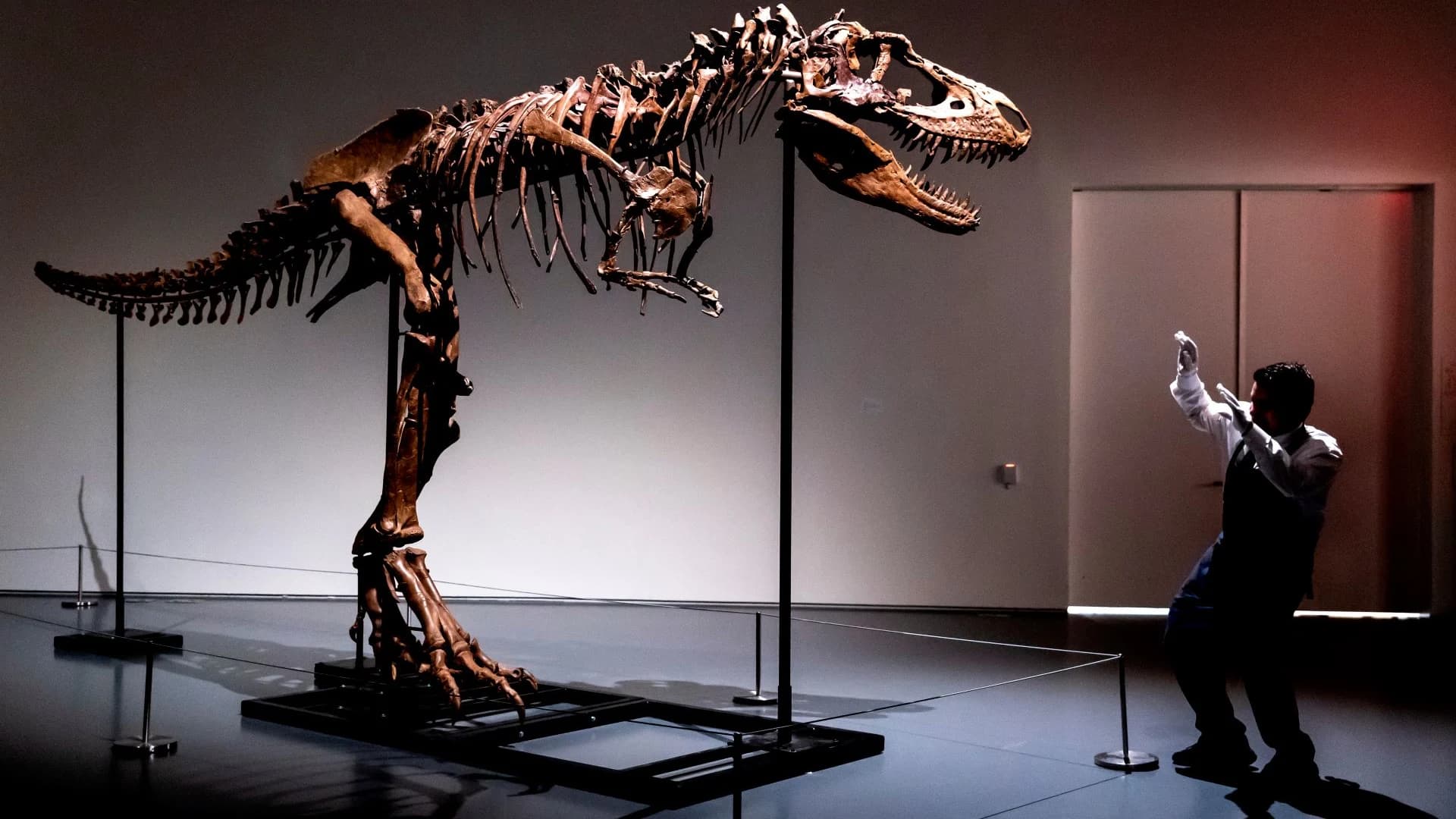 What's Hot! 76 million-year-old dinosaur skeleton to be auctioned in NYC